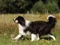 Nash mit 2 Jahren, im Sommer 2012
