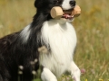 Nash mit 2 Jahren, im Sommer 2012