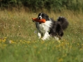 Nash mit 2 Jahren, im Sommer 2012