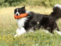 Nash mit 2 Jahren, im Sommer 2012