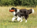 Nash mit 2 Jahren, im Sommer 2012