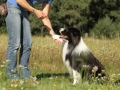 Nash mit 2 Jahren, im Sommer 2012