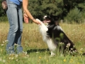 Nash mit 2 Jahren, im Sommer 2012