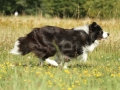 Nash mit 2 Jahren, im Sommer 2012