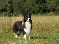 Nash mit 2 Jahren, im Sommer 2012