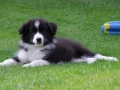 Nash mit fast 12 Wochen...