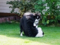 ...und Nash darf auch mal nach oben...