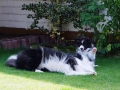...und Monty legt sich flach...