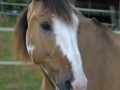 ...Willow hat was von Futter gehört, da wird er immer besonders aufmerksam...