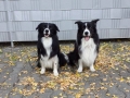 ...und nochmal ich und mein Papa.