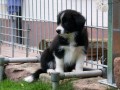 ..so und jetzt im neuen Zuhause...