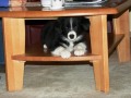 ...Verstecke gibt es hier auch...