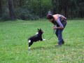 und dann wieder spielen...