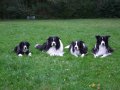 meine 3 Kumpels und ich !!