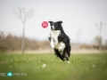 ....ups, ich hab´s gleich...