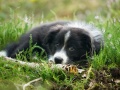 ...so ein Fotoshooting ist ja so langweilig...