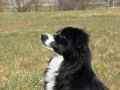...Samu hat´s gefunden...