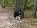 ...so nun bin ich 9 Monate alt...