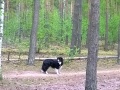 ...oder doch lieber da ????